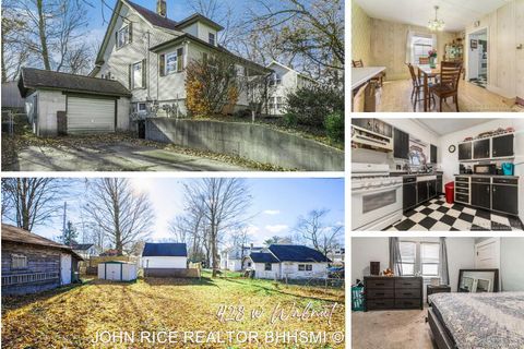 428 W Walnut Street Hastings City MI 49058