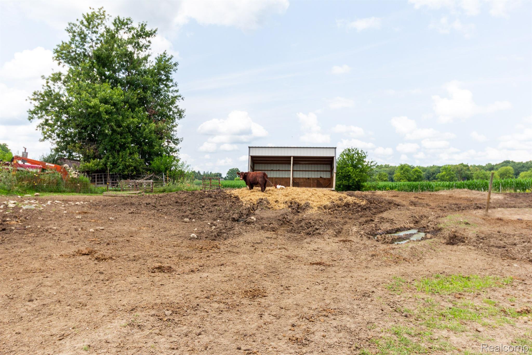 8620 SCIO CHURCH Road