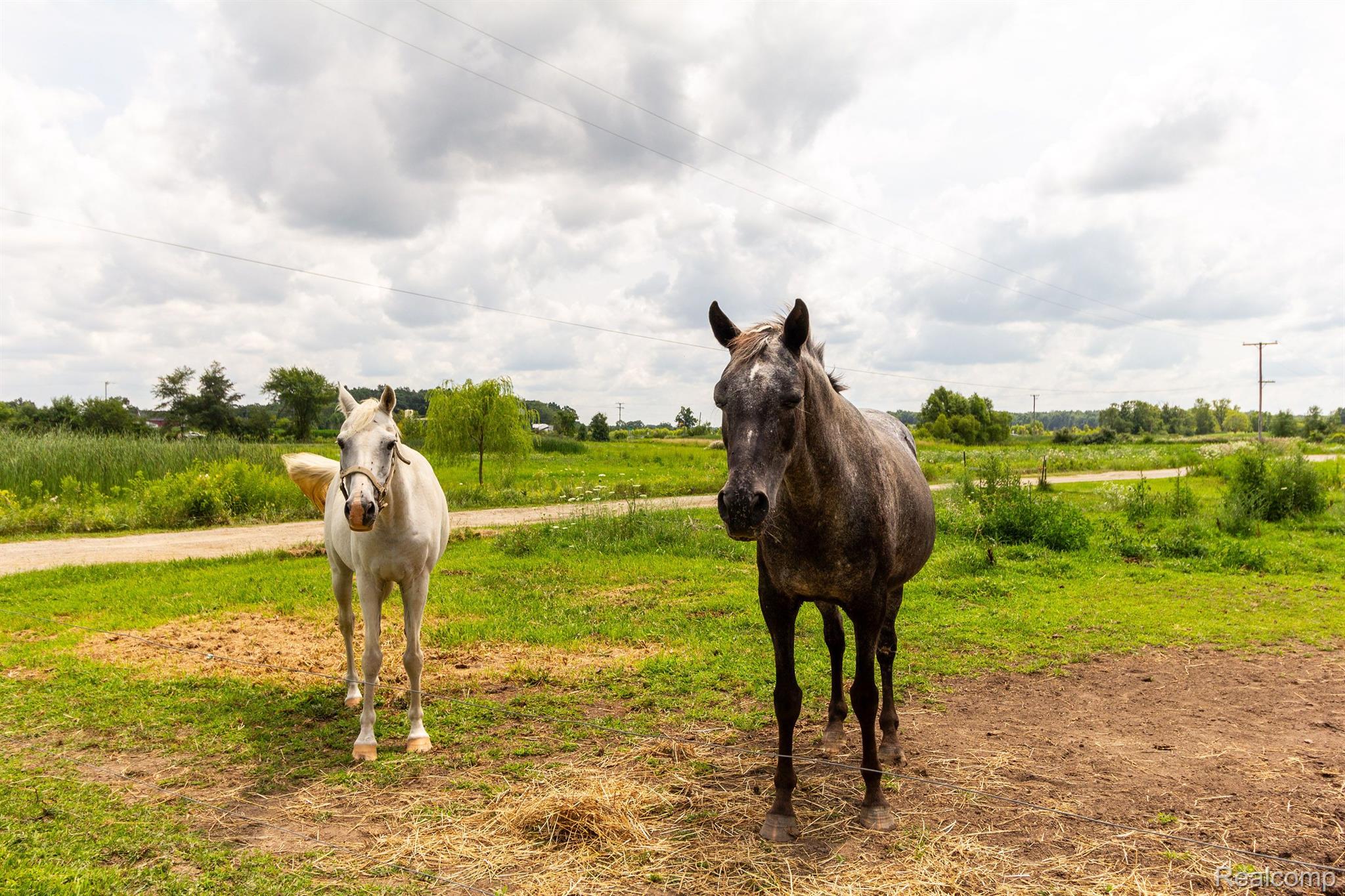 8620 SCIO CHURCH Road