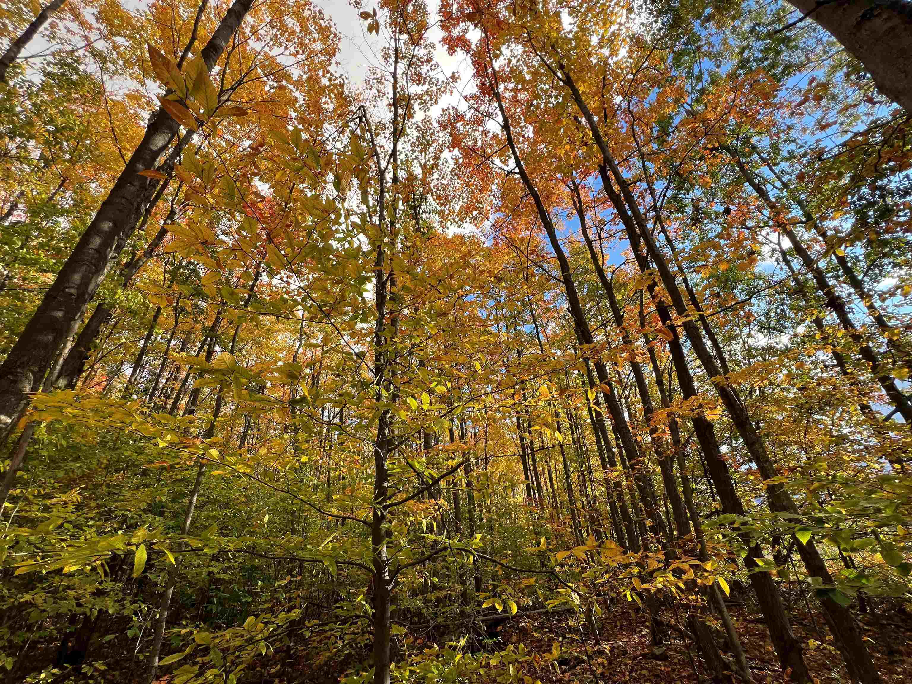 TBD Old Horton Bay Road