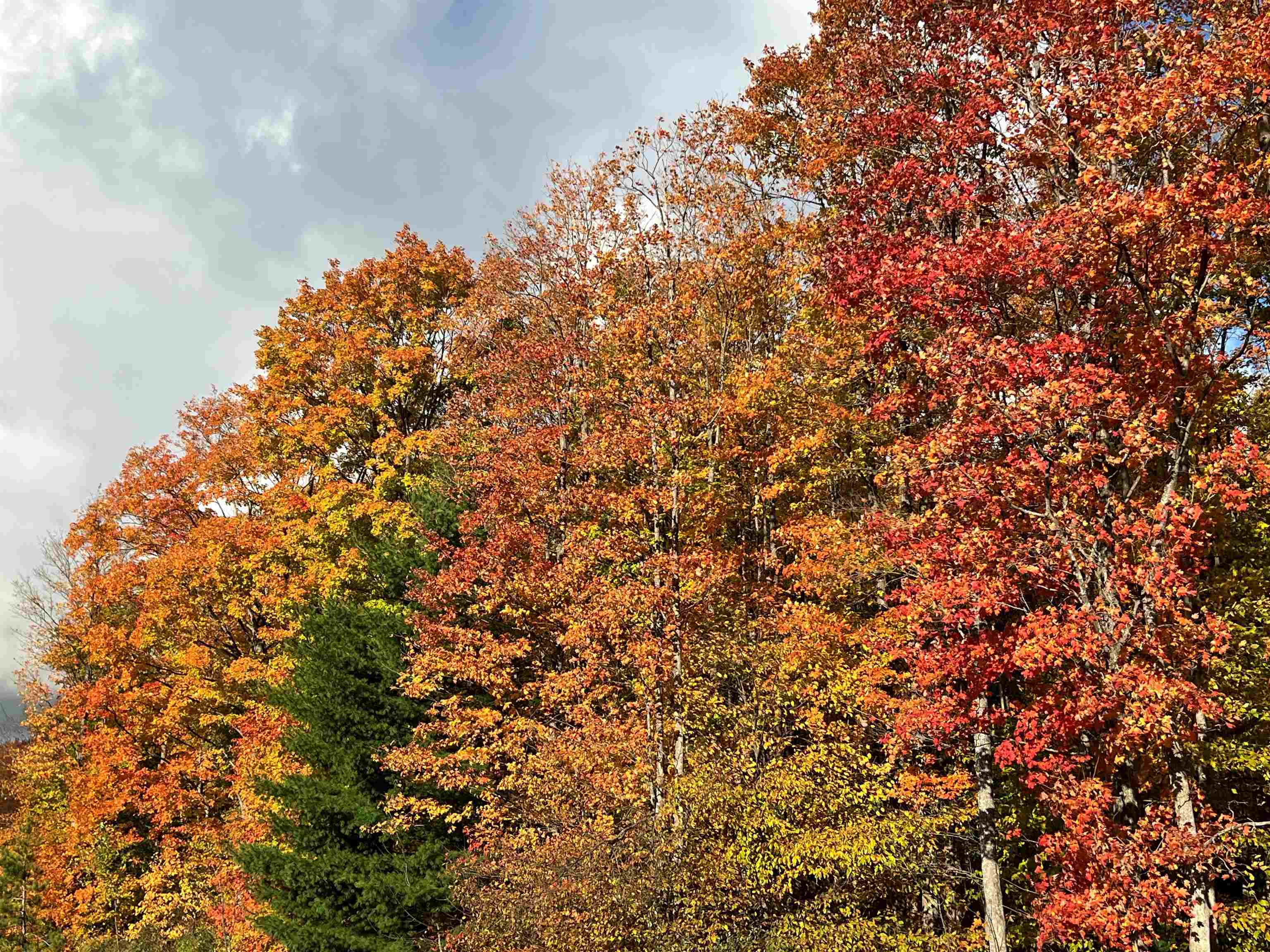 TBD Old Horton Bay Road