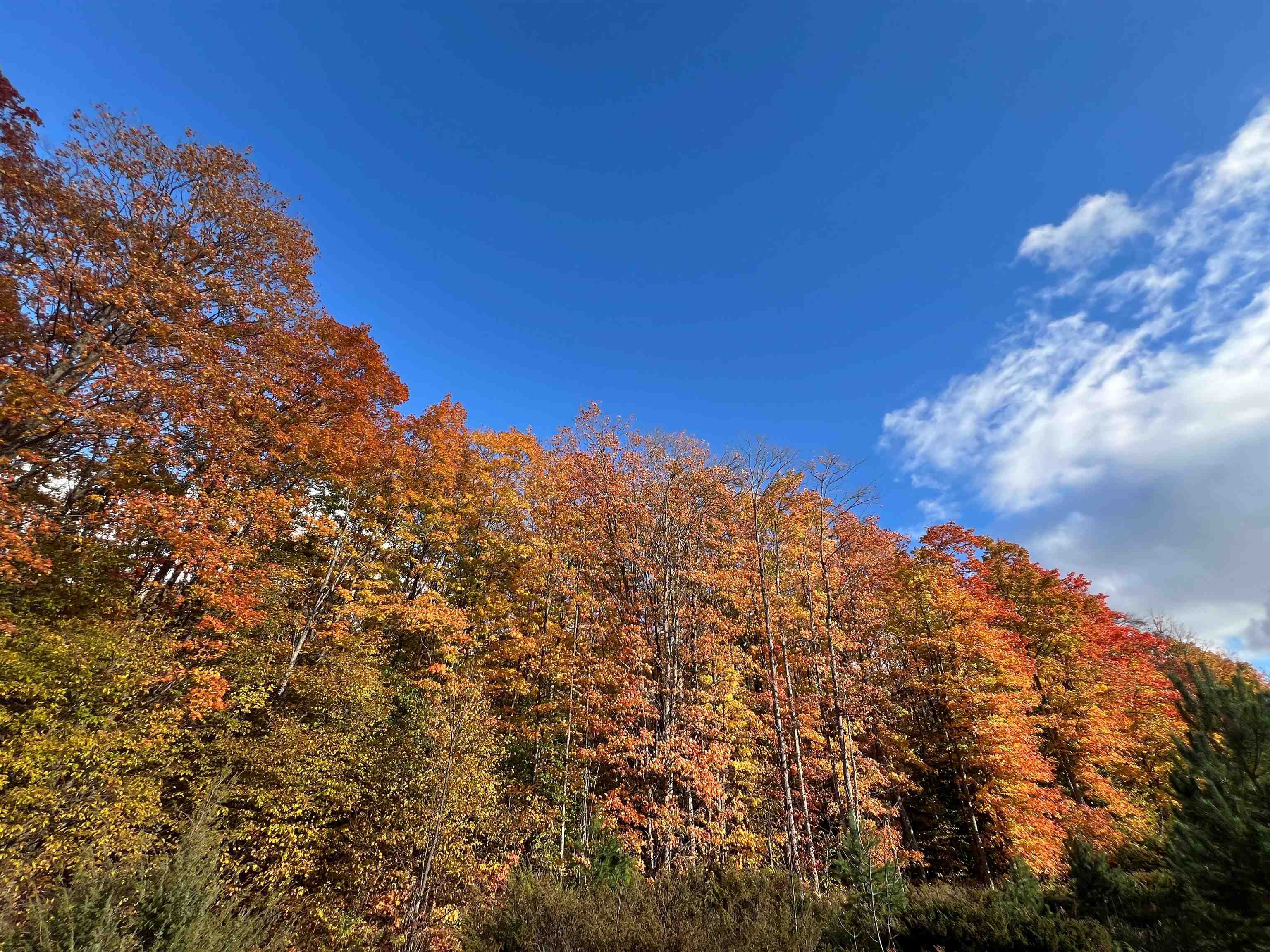 TBD Old Horton Bay Road