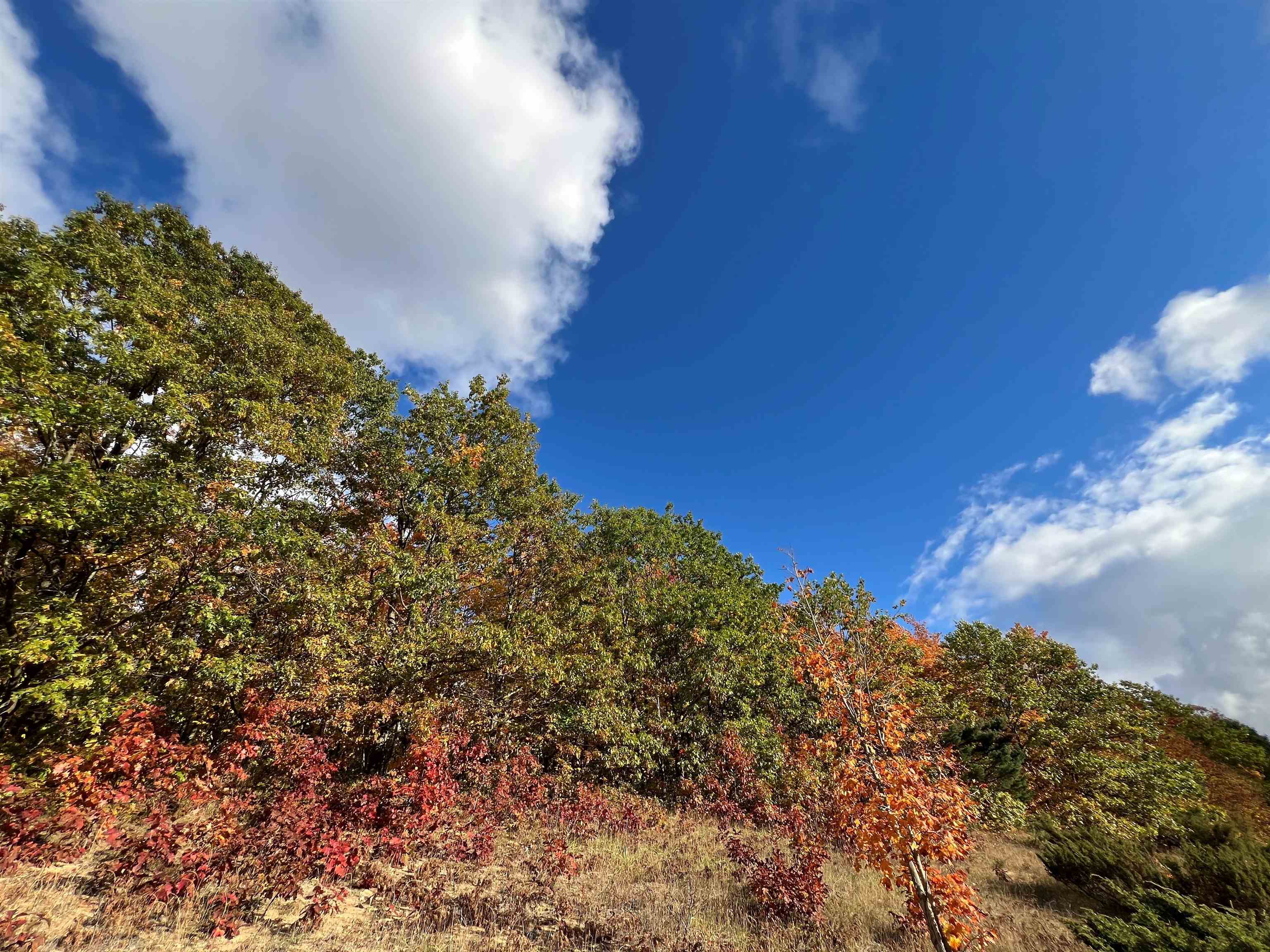 TBD Old Horton Bay Road