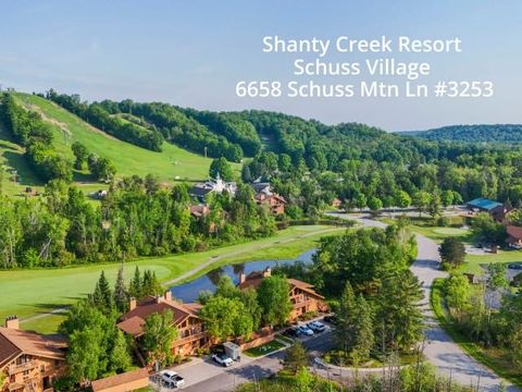 6658 Schuss Mountain Lane Custer Township MI 49659