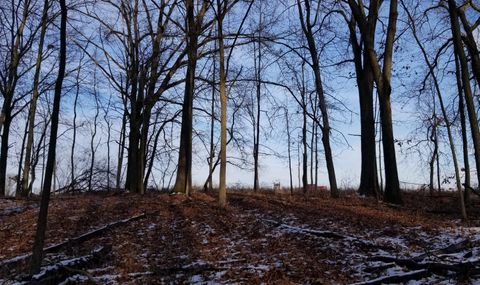 856 Greystone Drive Lyndon Township MI 48118