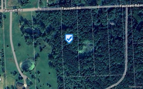 00 Faussett Road Tyrone Township MI 48430
