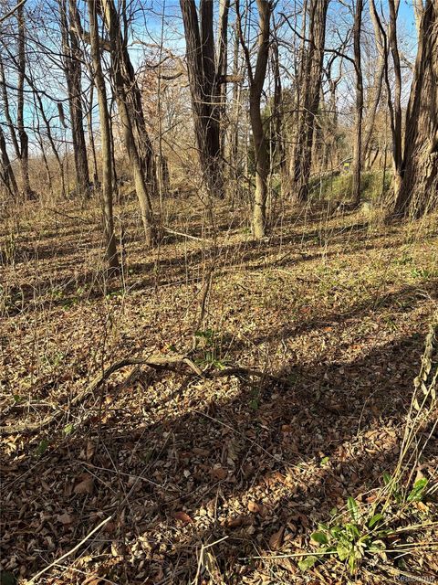 00 Faussett Road Tyrone Township MI 48430