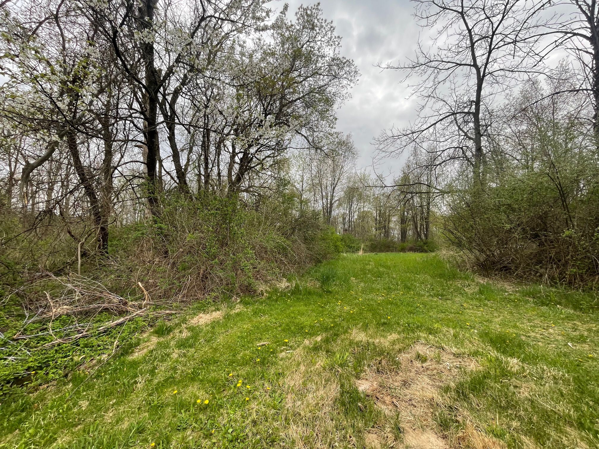 5559 Tipsico Lake Road