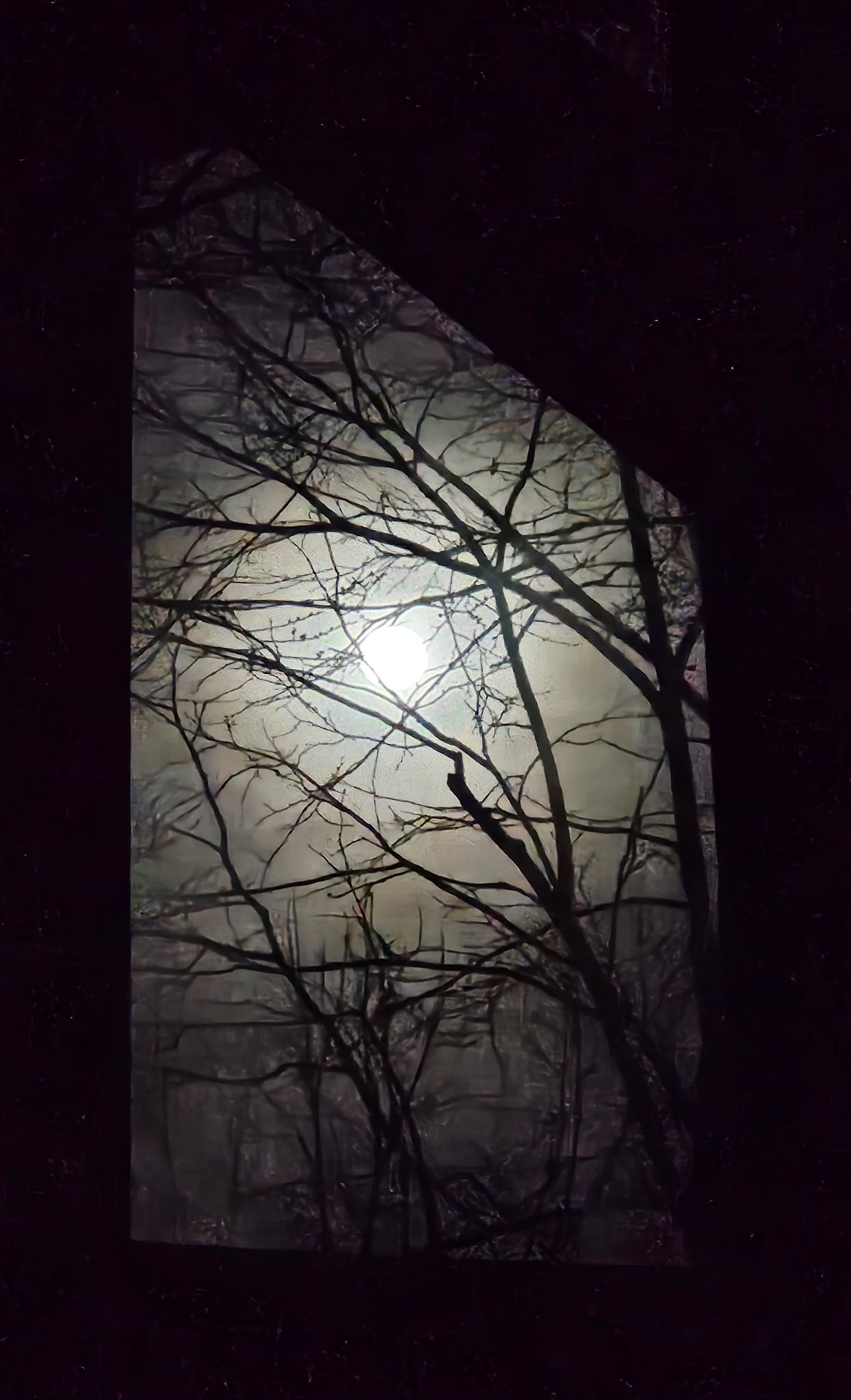 Hadley Township, Michigan 48438, United States, 5 Bedrooms Bedrooms, ,4 BathroomsBathrooms,Residential,Active,15137