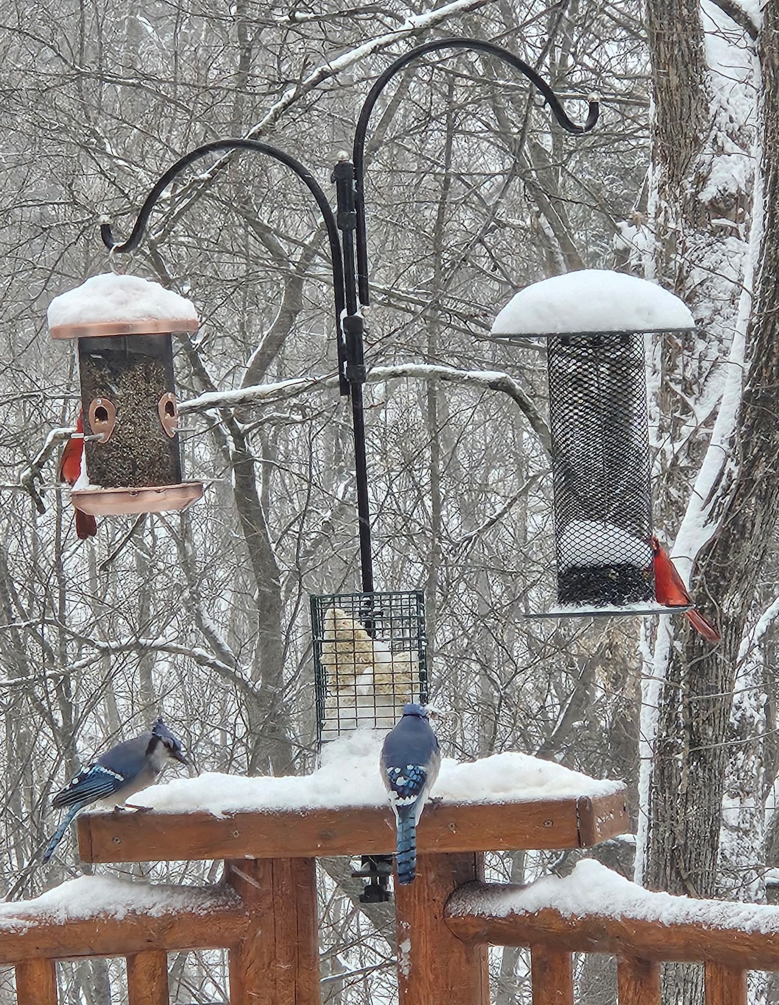 Hadley Township, Michigan 48438, United States, 5 Bedrooms Bedrooms, ,4 BathroomsBathrooms,Residential,Active,15137