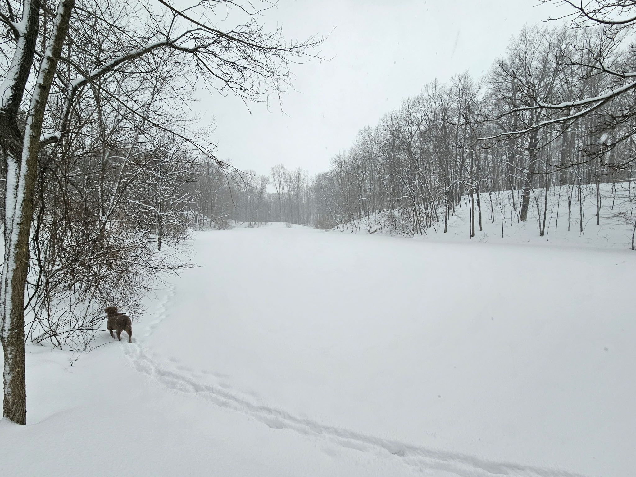 Hadley Township, Michigan 48438, United States, 5 Bedrooms Bedrooms, ,4 BathroomsBathrooms,Residential,Active,15137