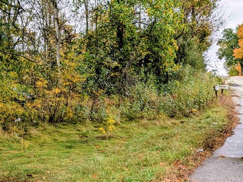 2495 W Blanchard Road Fremont Township MI 48858