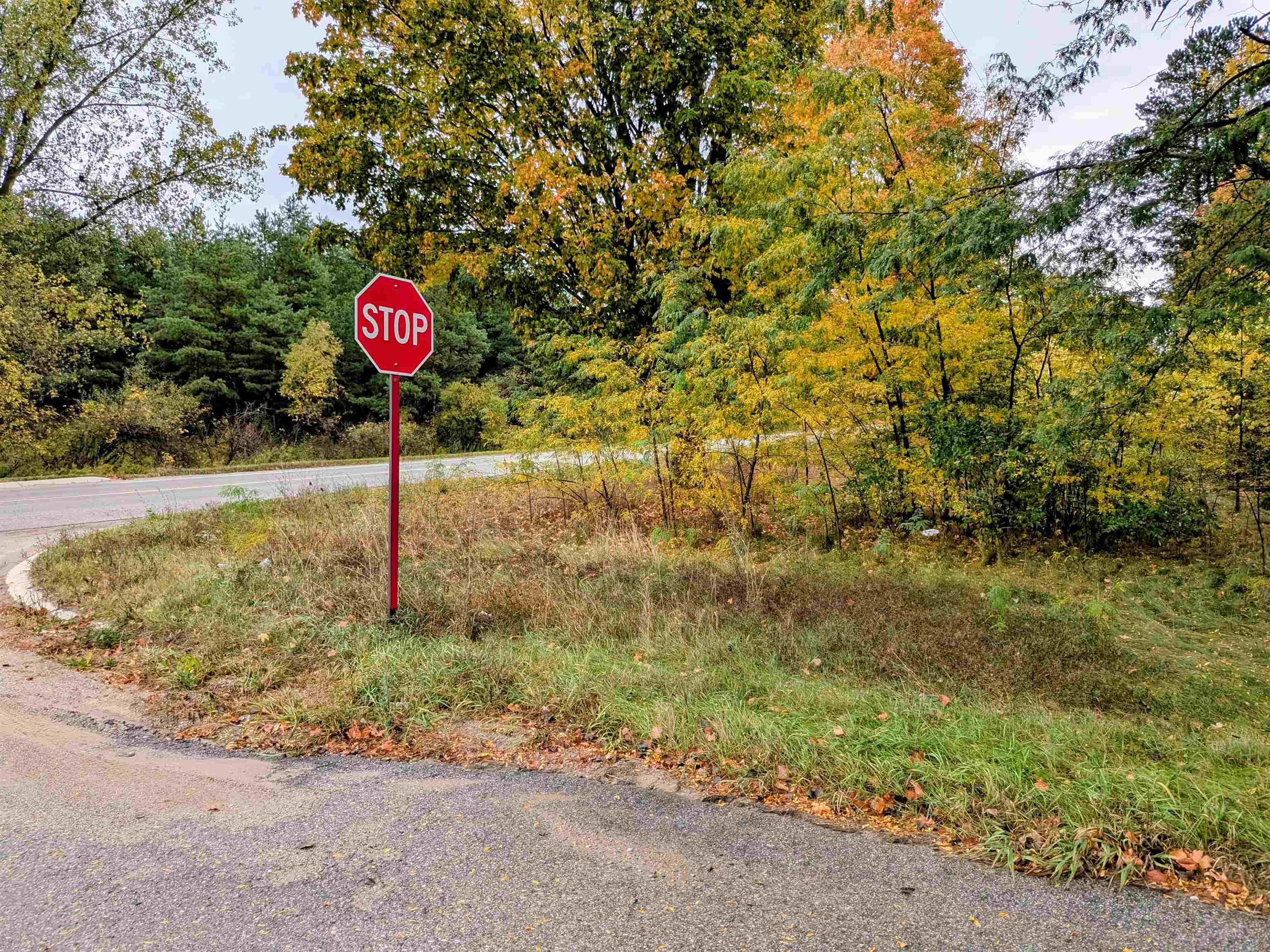 2495 W Blanchard Road