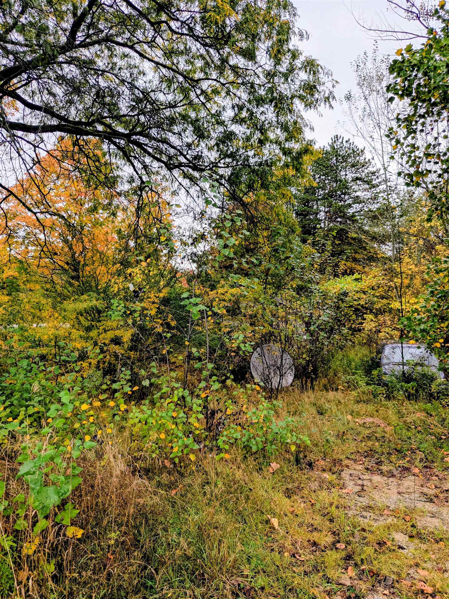 2495 W Blanchard Road