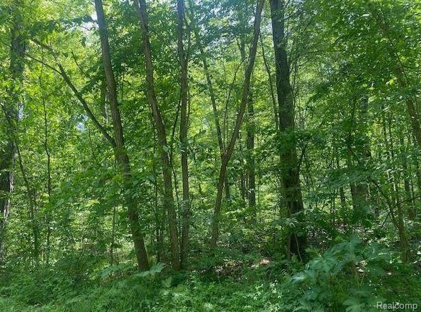 Parcel 2 & 4 Deadwood Lane