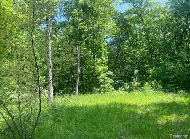 Parcel 2 & 4 Deadwood Lane