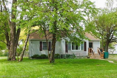 Photo of 44 Chaney Street, Van Buren Charter Township, MI 48111 (MLS # 20261020189)