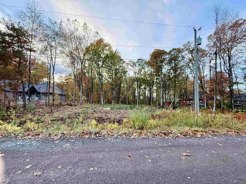 Photo of 62747 Braun Drive, Washington Township, MI 48094 (MLS # 58050192517) Photo of 62747 Braun Drive, Washington Township, MI 48094 (MLS # 58050192517)