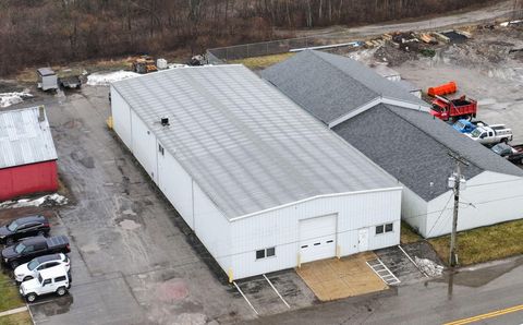 9167 1st Street Baroda Village MI 49101