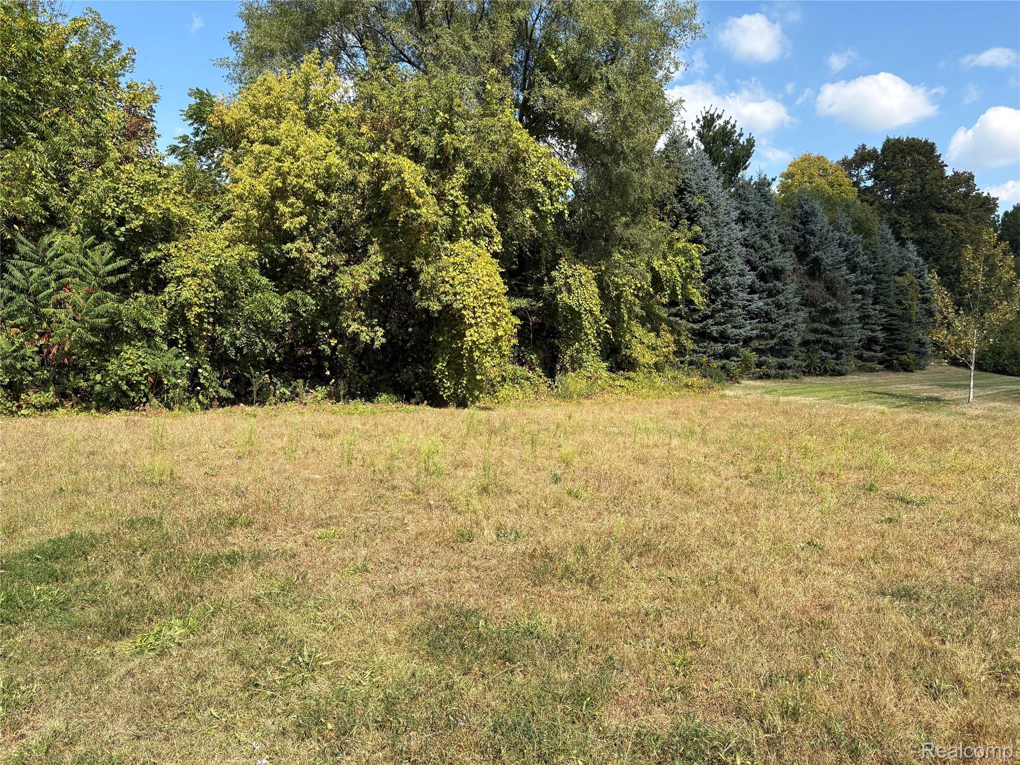 18018 RIDGEVIEW Drive