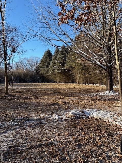 Wasson Road Unadilla Township MI 48137