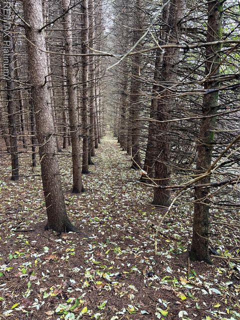 Wasson Road Unadilla Township MI 48137