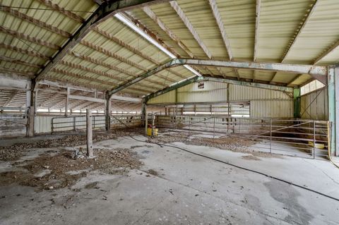 listing image 24