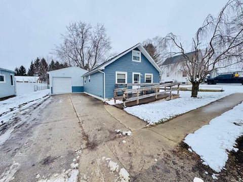 217 Amasa Street Woodland Village MI 48897