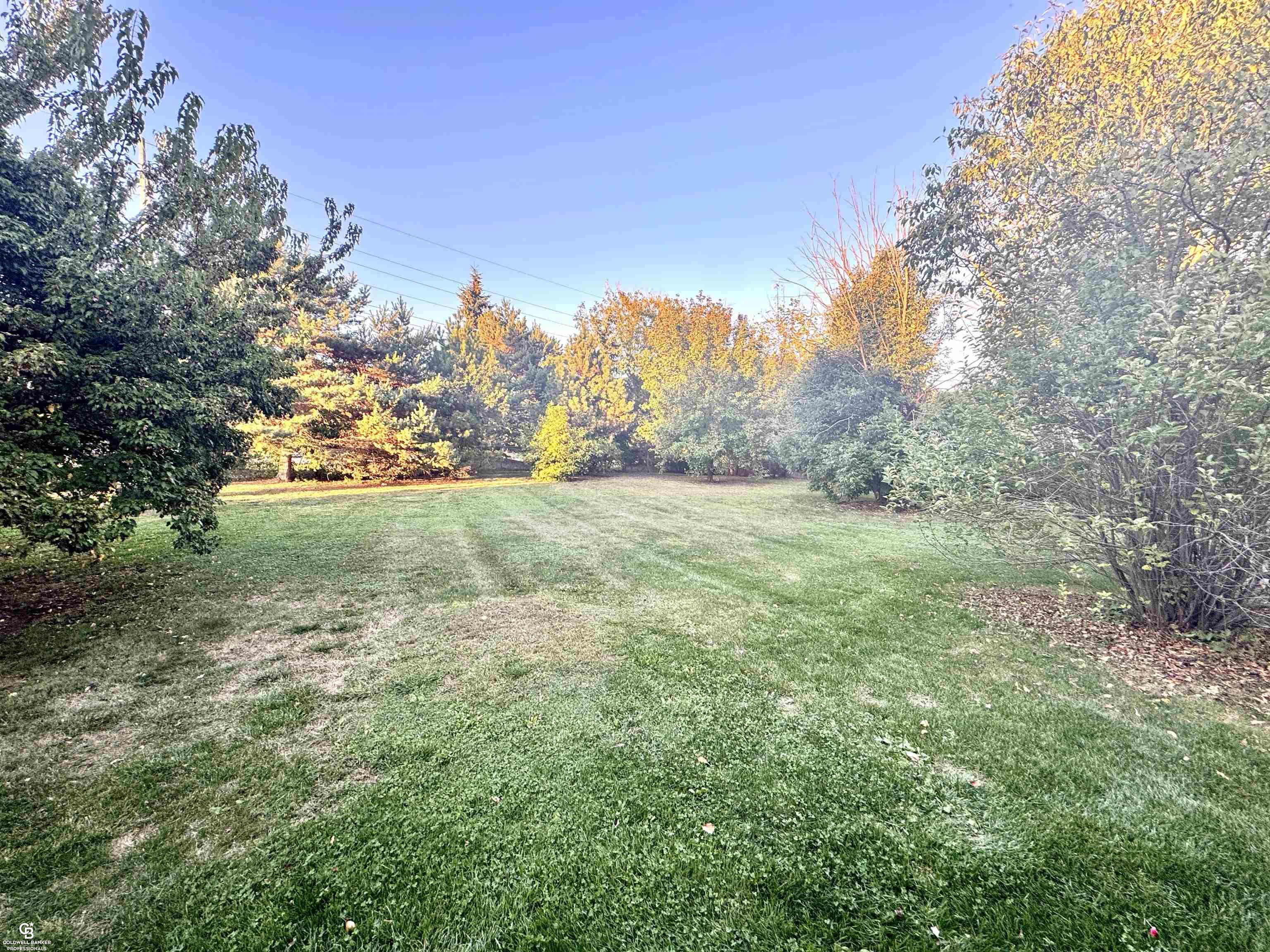 22377 MASSEY Lane