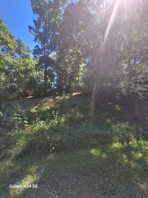 Lot #78 Lake Bluff Grass Lake Charter Township MI 49240