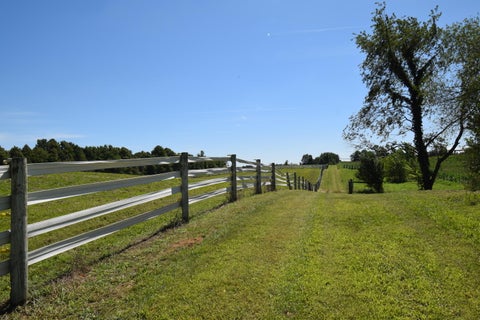 Tiny photo for 47944 County Road 673, Arlington Township, MI 49064 (MLS # 69026055830)