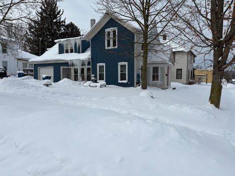 217 E Lincoln Street Hart City MI 49420