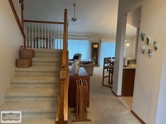 33831 Au Sable Drive