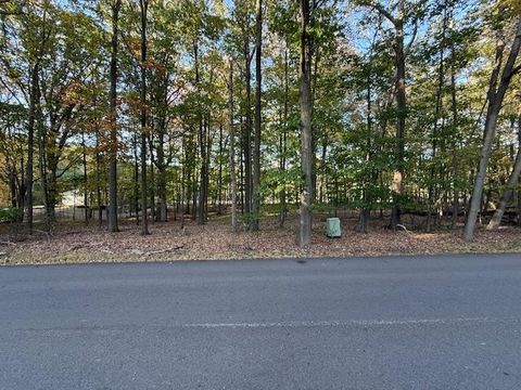 TBD Hiawatha Drive Deerfield Township MI 48858