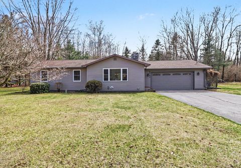 6335 Shagway Road Hamlin Township MI 49431