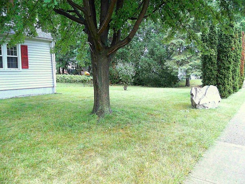 Tiny photo for 8239 Garbor Drive, Warren City, MI 48093 (MLS # 58050221043)