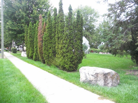 Tiny photo for 8239 Garbor Drive, Warren City, MI 48093 (MLS # 58050221043)