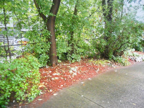 Tiny photo for 8239 Garbor Drive, Warren City, MI 48093 (MLS # 58050221043)