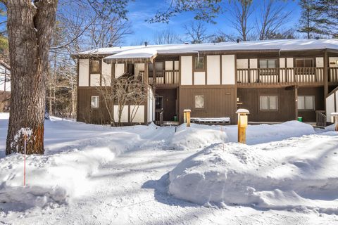 6865 Pinebrook Custer Township MI 49615