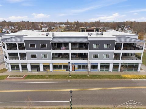 Photo of 201 E Ellsworth Street, Midland City, MI 48640 (MLS # 61050194173)