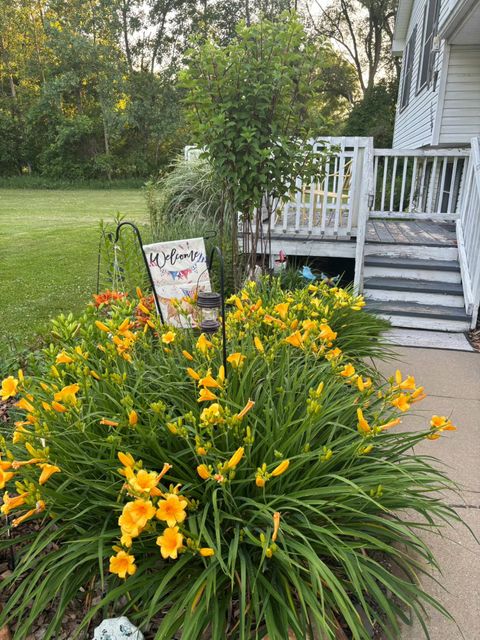 1150 Losey Road Rives Township MI 49277