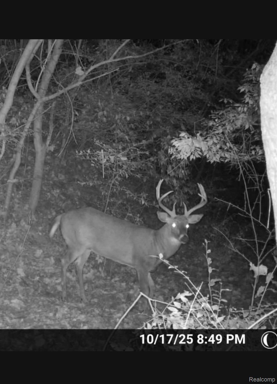 2298 N Wilmoth Highway