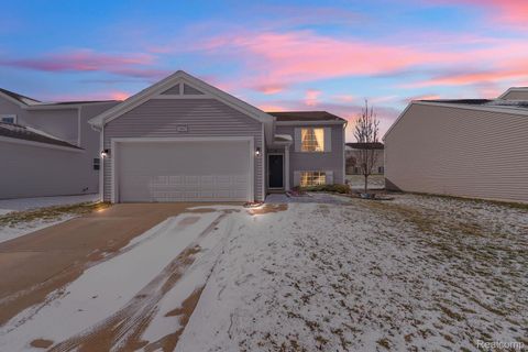 2867 W Fork River Drive Handy Township MI 48836