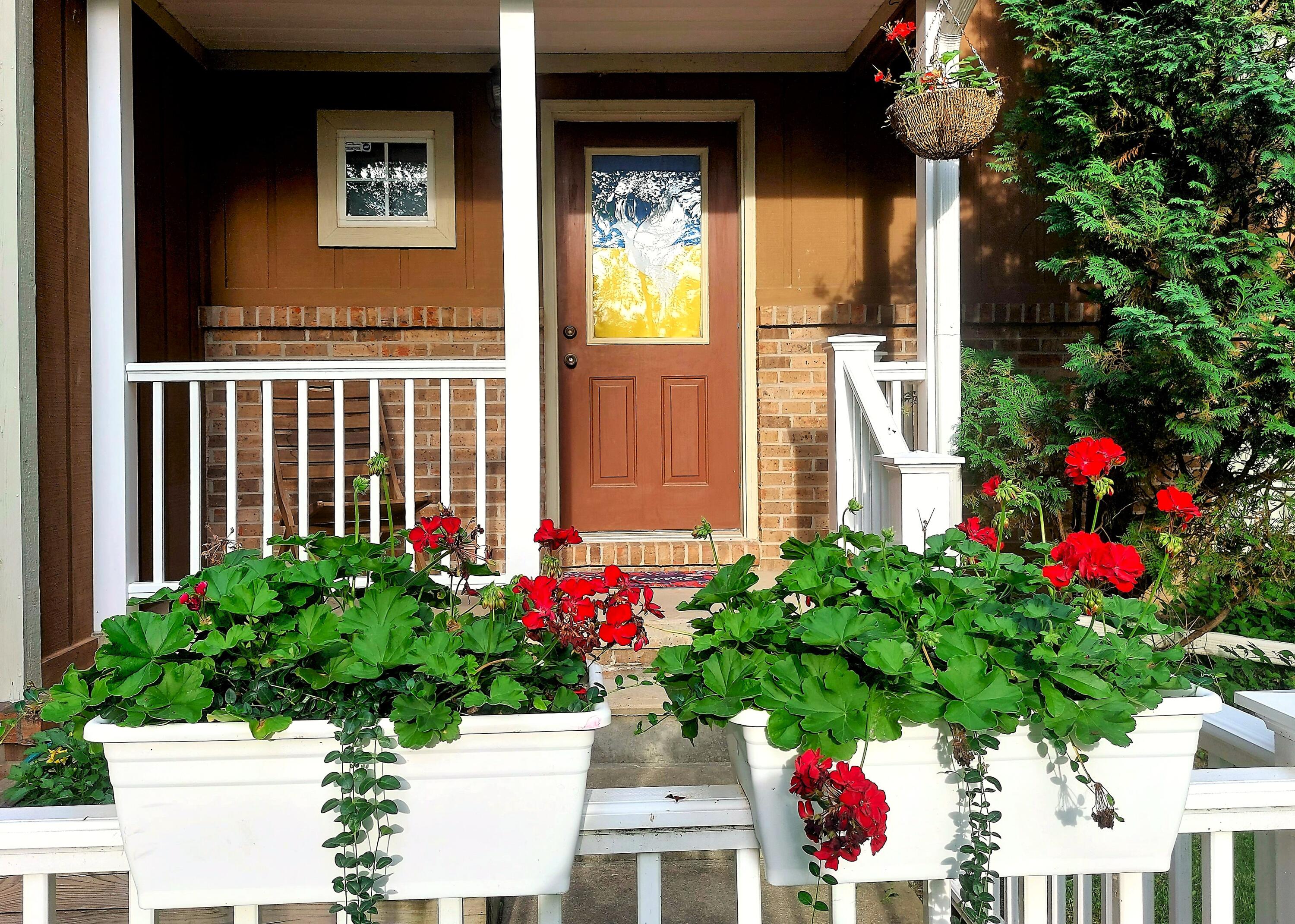 442 W Delhi Road