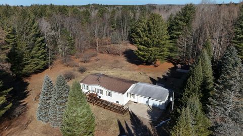 20334 11 Mile Road Lincoln Township MI 49655