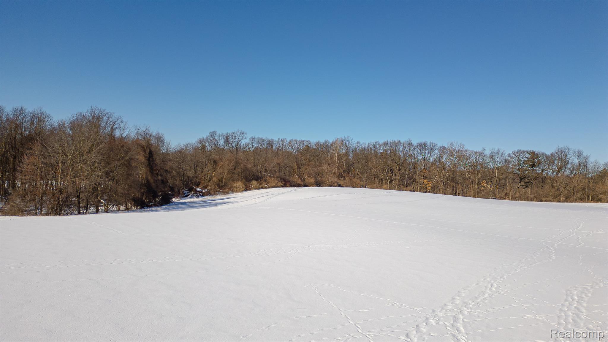 1546 Covington Woods Lane