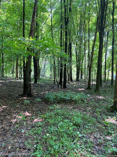 8 Sleaford-Parcel 8 - 2.12 Acres Road