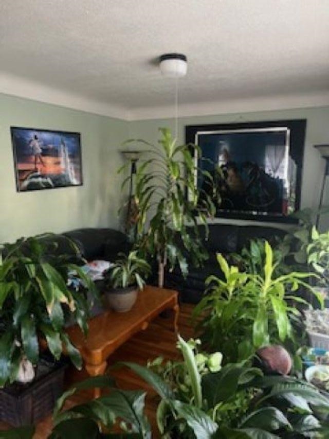 20225 Moenart Street