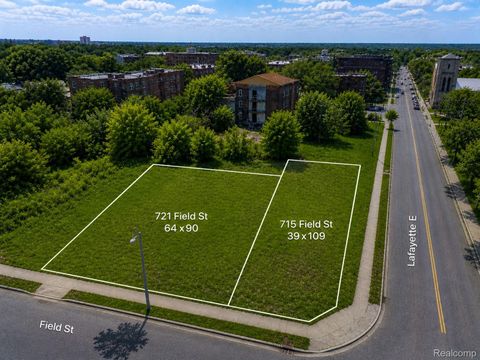 715 Field Street Detroit City MI 48214
