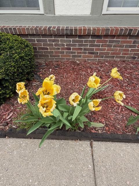 41488 Wild Turkey Lane